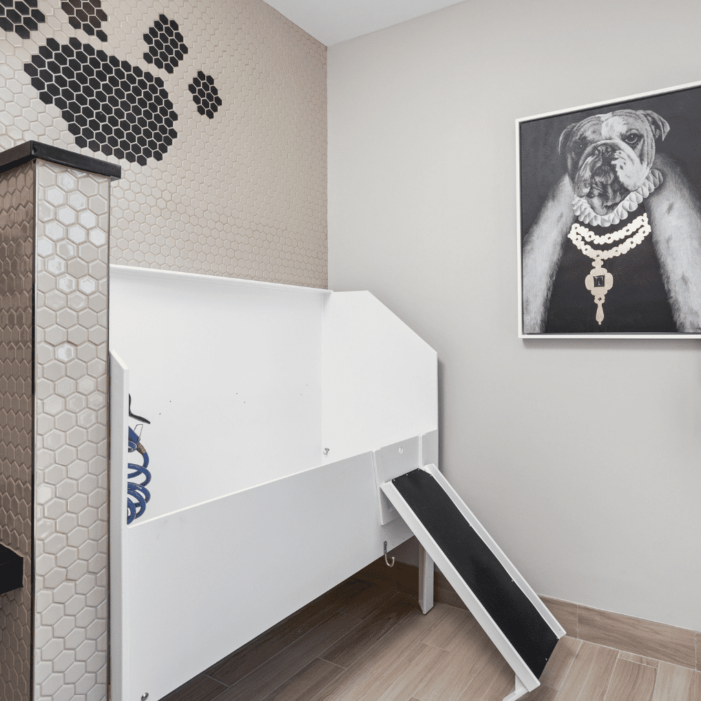 Pet Friendly Apartments-Nexus Apartments